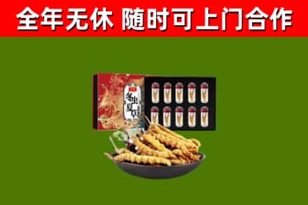 企石镇回收冬虫夏草价格